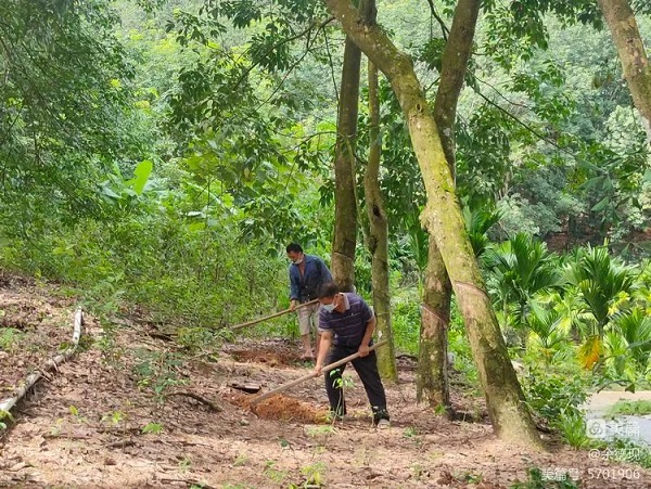 企業信用等級證書