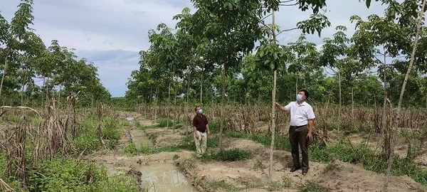 企業資質證書甲級